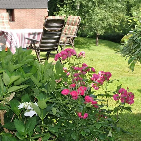 Guest house Dabrunz Heimbach